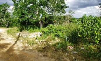 Imagem 2: Vendo Terreno no Bairro das Nações com 800 Metros - Imperdível