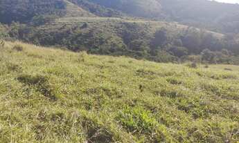 Imagem 4: Fazenda com 250 hectares em Silveiras - São Paulo