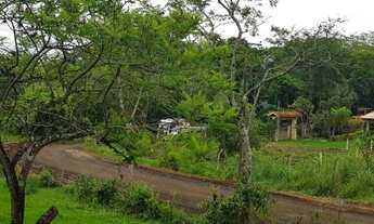 Imagem 2: No bairro Área Rural em Presidente Prudente
