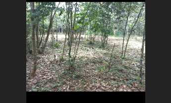 Imagem 4: V/t ou troco terreno na alça viária