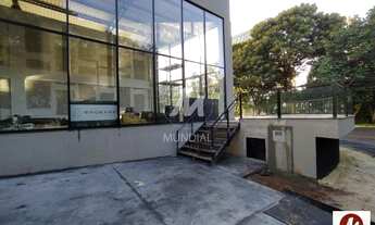 Imagem 3: Salão/Galpão (salão - térreo