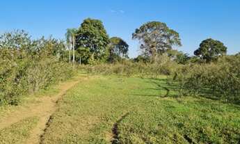 Imagem 2: Chácara 2,5 há, com Rio - 19 km - Terenos - MS 900 metros da BR 262