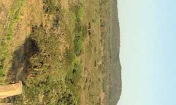 Imagem 6: Fazenda em Sandolandia-TO