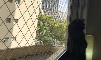 Imagem 5: Apartamento à venda, Vila Mariana, 61m², 1 dormitório, 1 vaga!