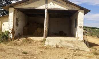 Imagem 3: Fazenda 39 alqueires entre Santo Antônio de Posse e Itapira VENDA OU ARRENDAMENTO