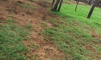 Imagem 5: INOCÊNCIA - RURAL - Zona Rural