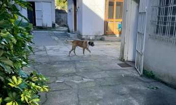 Imagem: Casa em zona central