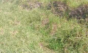 Imagem: V03-Terreno no interior