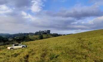 Imagem 5: Lotes de 10.000 m² na fazenda das Palmeiras represa Igaratá - SP