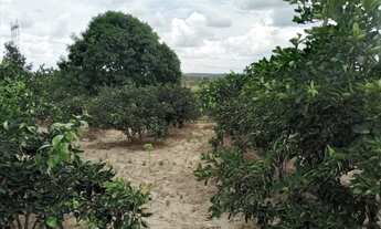 Imagem 3: Sítio no povoado Cabral em Salgado