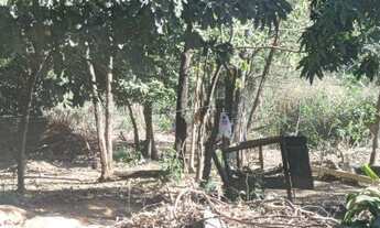 Imagem 5: Vende se terreno em uma boa localização