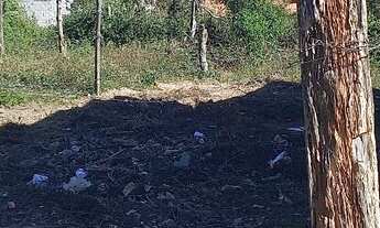 Imagem 6: Terreno 5 M de largura por 25M