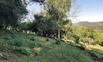 Imagem 5: Sitio - São Francisco de Paula / RS