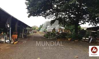 Imagem 3: Salão/Galpão (salão - térreo