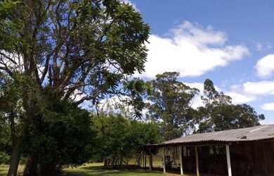 Imagem 5: Viamão - Sítio - Águas Claras