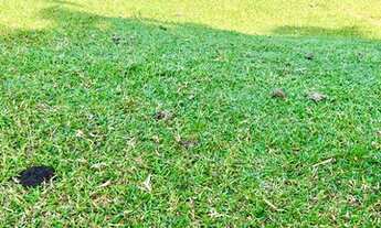 Imagem 3: R22-terreno para moradia