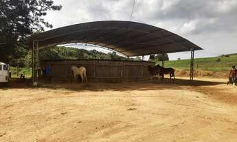 Imagem 4: Fazenda 39 alqueires entre Santo Antônio de Posse e Itapira VENDA OU ARRENDAMENTO