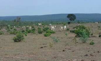 Imagem 1: CHAPADÃO DO CÉU - RURAL - Zona Rural