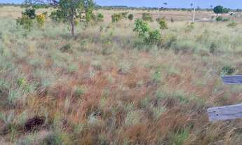 Imagem: Vende_se terreno