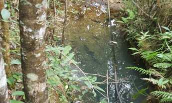 Imagem: Chacara 20 mil metros quadrados