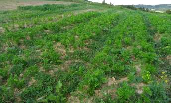 Imagem 2: O/26 * Venha conhecer esse maravilhoso lugar !!