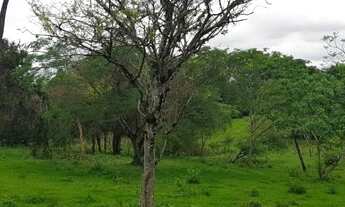 Imagem 6: No bairro Área Rural em Presidente Prudente