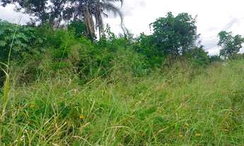 Imagem 5: Fazenda/Sítio/Chácara para venda tem 190 metros quadrados com 4 quartos