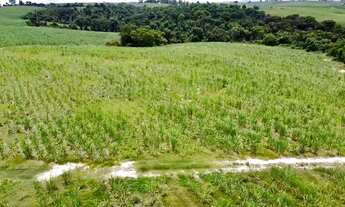 Imagem 6: Porto Feliz-Sp, Fazenda 66 Alqueires