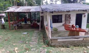 Imagem 5: Sítio Chácara com venda por R$60.000