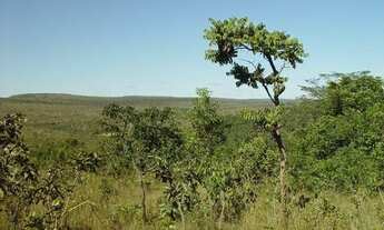 Imagem 6: Fazendinha com 95.700m² Próximo a Morada Nova ((região de Três Marias,MG) por 95.700,00