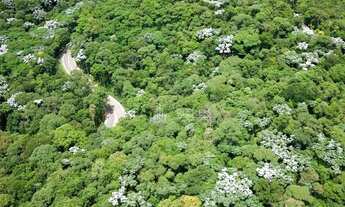 Imagem 7: Casa mobiliada com 4 suítes à venda, 390 m² por R$ 8.200.000 - Gênesis 2 - Santana de Parn