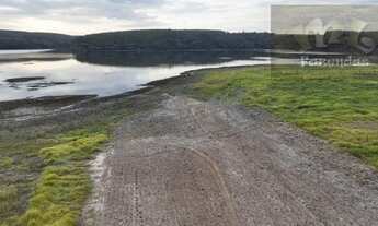 Imagem 4: Fazenda na Região de Angatuba 60 alqs toda em laranja