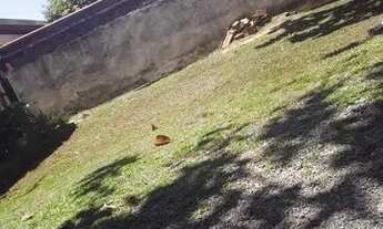 Imagem 2: Casa madeira Matinhos