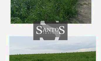 Imagem 7: Uruçuí - Fazenda - Região Rural