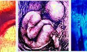 Imagem: Vaga P/Residência Prática 2 Min a Pé