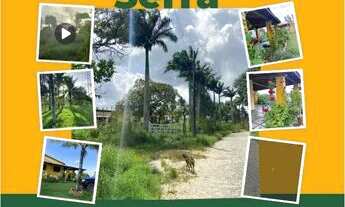 Imagem: Alugo casa para o São João