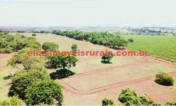 Imagem 6: Sítio 3,8 alqueires - Margens rio Piedade - Monte Alegre de Minas