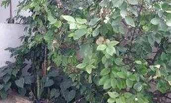 Imagem 4: Casa com 2 dormitórios à venda, 146 m² por R$ 360.000,00 - Jardim Santo Elias - São Paulo