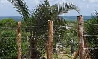 Imagem 3: TERRENO PARA VENDA NA CIDADE DE SANTA TEREZINHA-BA