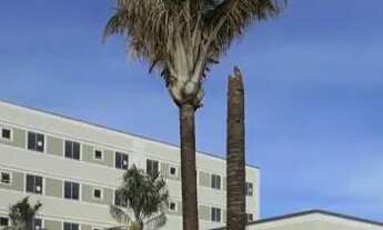 Imagem: Alugo apartamento direto com proprietário