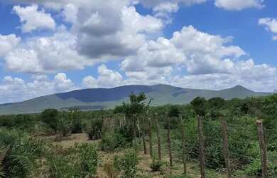 Imagem 6: TERRENO PARA VENDA NA CIDADE DE SANTA TEREZINHA-BA
