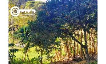 Imagem 3: Sítio à venda em Sete Barras - SP