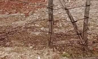 Imagem 2: 86 Casa com 1 dormitório