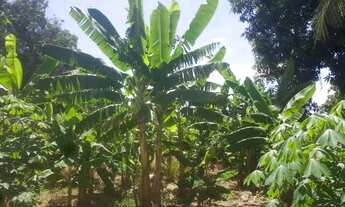 Imagem 4: Chácara Chácara com venda por R$100.000