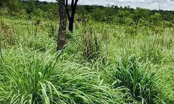 Imagem 2: Vendo ou troco Chácara com venda por R$220.000