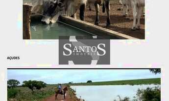 Imagem 6: Uruçuí - Fazenda - Região Rural