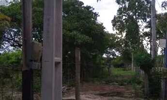 Imagem 6: Lote / terreno em mojó paço do Lumiar