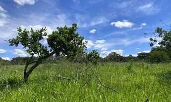 Imagem: Fazendinha 20 mil m²,terra ideal pra cultivo