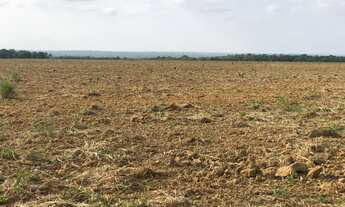 Imagem 4: Fazenda 1.400 hect em jangada MT. Reg barra do bugre 500hect em lavoura 38 milhões