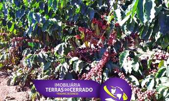 Imagem: FAZENDA ALTAMENTE PRODUTIVA COM 470HECTARES